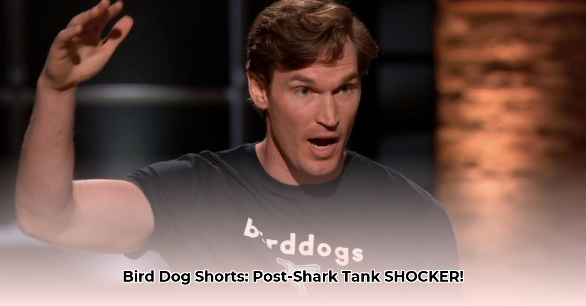 bird-dog-shorts-net-worth